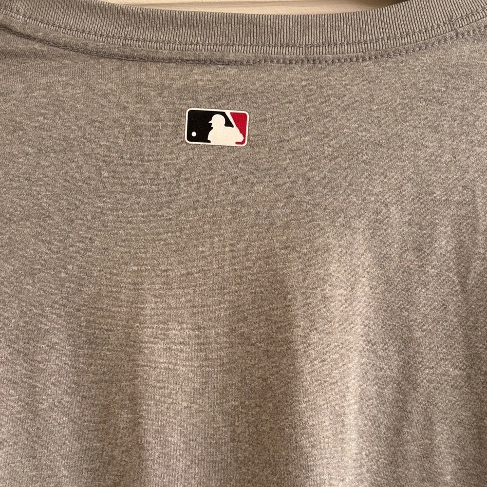 Nike Gray T-Shirt with Red 'Reds' Logo Size Large